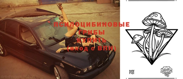 spice Арсеньев