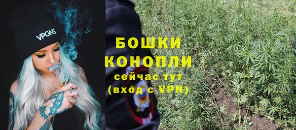 spice Арсеньев